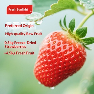 สตรอว์เบอร์รีอบแห้งแบบแช่แข็งทั้งลูก |   ขนมขบเคี้ยวเพื่อสุขภาพสำหรับออฟฟิศ |   ผลไม้กรอบชื่อดัง<span class=keywords><strong>ท</strong></span>างอินเ<span class=keywords><strong>ท</strong></span>อร์เน็ต - Product Image 5