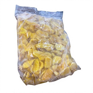 Piña en Rodajas Congelada IQF Envasada al Vacío de Vietnam - Product Image 1