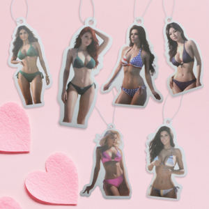 빠른 배송 차량용 향수 면지 소재 성인용 섹시 걸 프라이빗 라벨 차량용 방향제 - Product Image 4