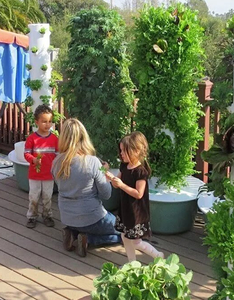 ระบบปลูก<span class=keywords><strong>ผัก</strong></span>แนวตั้งแบบแอโรโปนิกส์ทาวเวอร์ ระบบปลูก<span class=keywords><strong>พืช</strong></span>ไร้ดินแบบไฮโดรโปนิกส์ทาวเวอร์ สำหรับปลูก<span class=keywords><strong>ผัก</strong></span>ในร่ม กระถางปลูก<span class=keywords><strong>ผัก</strong></span>อัจฉริยะสำหรับบ้าน - Product Image 6