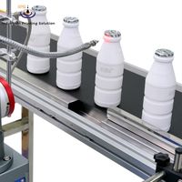 Imprimante laser UV pour bouteilles en plastique IPS-LUV5W F MG 5w avec code de lot et date d'expiration, marqueur laser UV