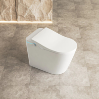 Guangdong Intelligent Public pour Personnes Âgées Japonais Automatique Intelligent Noir Intégré Réservoir d'Eau Télécommande CUPC ETL Certifié