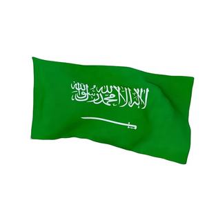 Agent d'expédition <span class=keywords><strong>DHL</strong></span> Express <span class=keywords><strong>par</strong></span> mer/air de la Chine vers l'Arabie saoudite Agents d'expédition de fret aérien Guangzhou Shenzhen - Product Image 1