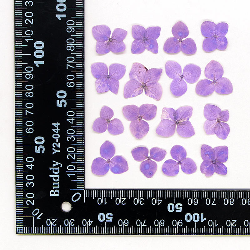 Light Purple 12pcs/bag