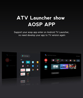 IATV TV Stick Q3 Allwinner H313 Android 10 Fire Stick Control Remoto BT 2.4G 5G Wifi Dual 2GB RAM 16GB ROM USB 4K Fire Tv Stick