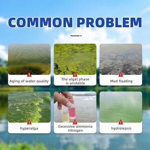 โปรไบโอติก<span class=keywords><strong>ส</strong></span>์ทางน้ำ <span class=keywords><strong>ส</strong></span>ารผสมอาหารปลา <span class=keywords><strong>ส</strong></span>ารเสริมอาหารเกรดอาหารสัตว์ กรดอะมิโนสำหรับการย่อย<span class=keywords><strong>ส</strong></span>ลายของมลพิษและ<span class=keywords><strong>ส</strong></span>ารอันตรายอย่างรวดเร็ว - Product Image 4