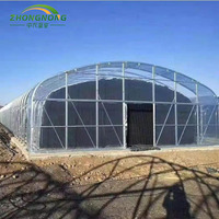 Serre tunnel en film plastique à simple portée pour l'agriculture, pour la culture verticale de légumes, système hydroponique