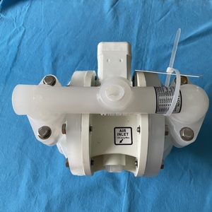 Pompe à diaphragme en caoutchouc Wilden P100PPPPPTNUTFPTV0014, diaphragme en PTFE/BALL - Product Image 2