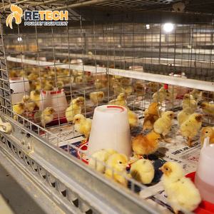 <span class=keywords><strong>Cage</strong></span> de froissage automatique pour bébés, 2 unités, <span class=keywords><strong>Cage</strong></span> pour enfants, élevage du Stock des parents - Product Image 6