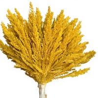 ZENX CART Grosir Baru Bunga Pampas Kering Alami Ramah Lingkungan Buatan Tangan Warna Kuning 50-70cm 100 Paket Thanksgiving Dekorasi Dalam Ruangan