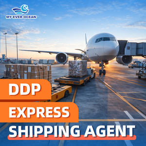 Services logistiques de fret aérien, agent express aérien vers le Royaume-Uni, les États-Unis, l'Europe, expédition DDP par avion porte-à-porte - Product Image 1