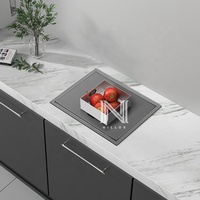 Évier de cuisine encastré TD4838 21,7 pouces - Évier carré artisanal en acier inoxydable 304 noir nano à cuve unique avec couvercle pour appartement/VR/bar