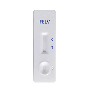 정확한 고양이 FIV FELV 질병 검사 고양이 면역 결핍 항체 및 고양이 백혈병 바이러스 항원 검사 - Product Image 4