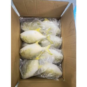 Venta Directa al por Mayor de Pescado Pomfret Dorado Congelado, Pompano Criado en Granja, Buen Precio, <span class=keywords><strong>Trachinotus</strong></span> <span class=keywords><strong>Ovatus</strong></span> - Product Image 1