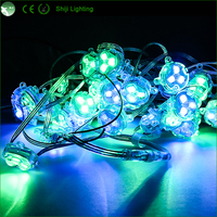 Offre Spéciale, IP68, 12v, éclairage permanent de point extérieur de vacances de noël 30mm led smd5050 rgb led pixel point lights