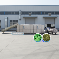 Machine de séchage pour feuilles de laurier, algues marines, thym, ensilage, menthe poivrée, feuilles de thé, sécheuse à menthe