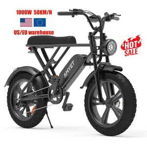 OEM brand HOT SALE 48v 1000w fat tire electric bike 2 wheel drive bicycle