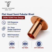 Rivets semi-tubulaires à tête plate en cuivre TianFang pour prototypes de liaisons de registres de climatisation, étamés, fabrication OEM ODM fiable