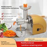 Petit presse-agrumes multifonctionnel pour légumes et herbe de blé pour la cuisine Presse à vis pour baies d'argousier Extracteur de jus de fruits
