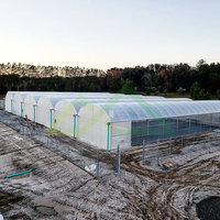 Commerciële moderne grootschalige multispan kas van polyethyleenfolie, uitgerust met een intelligent kassysteem.