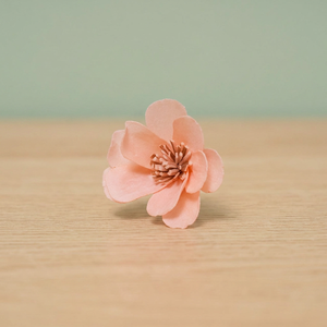 Sola Wood Flowers White Environmental Friendly Wholesale 5 cm Thailand <b>Diffuser</b> for Home Decor Wedding & Valentine Gift <b>Aroma</b> - Product Image 3
