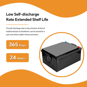 High-Energy Density 300Ah 24V Custom Shape Li-ion Battery Pack Fast Charging Prismatic Lithium Ion Batteries with OEM Service - Product Image 4