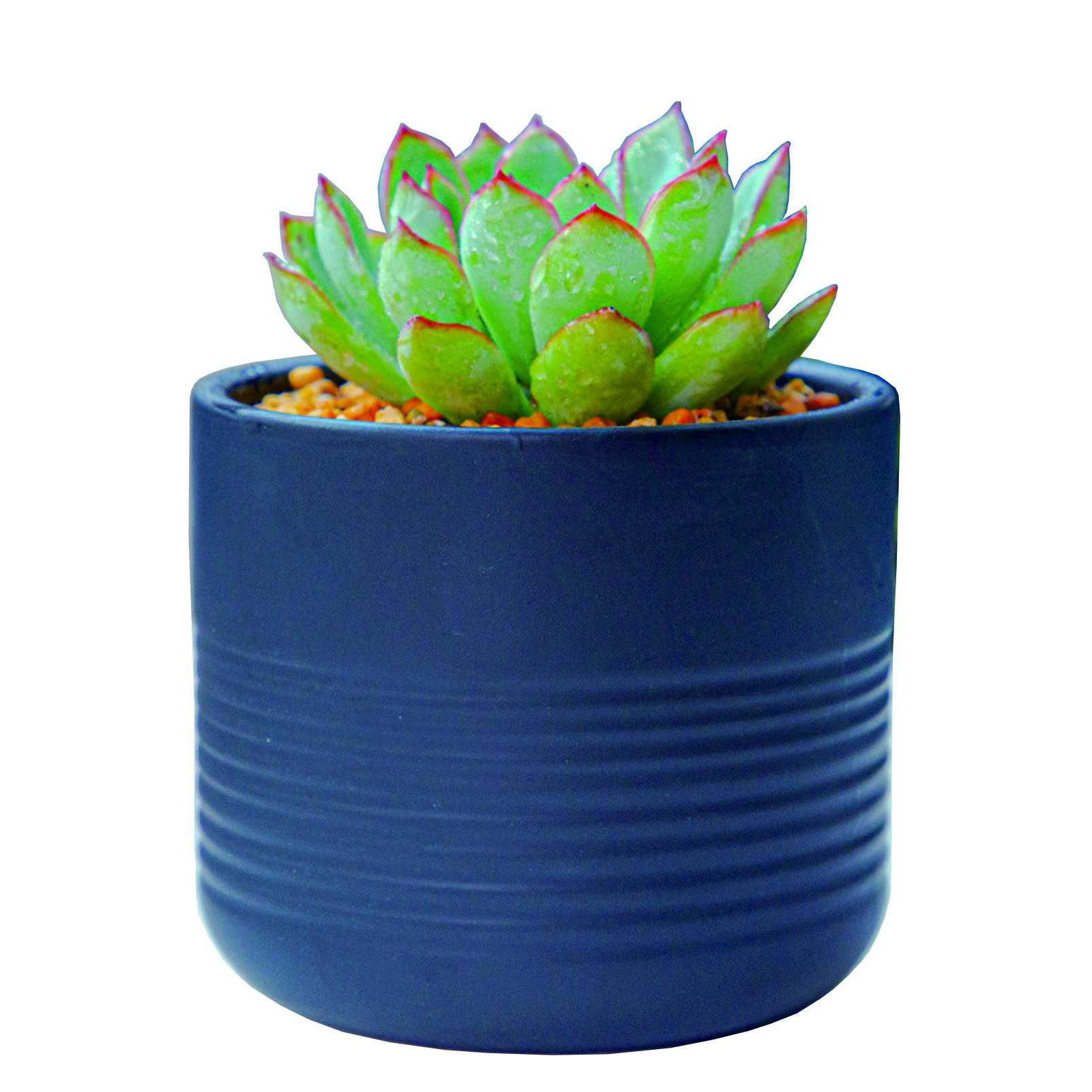 Desk Cross Stripe Design Ceramic Flower Pot for Succulent Plants