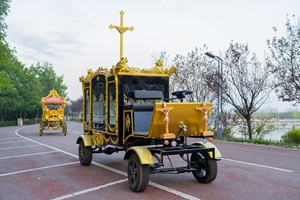 Nuevo Coche Fúnebre Eléctrico Personalizado, Ataúd Refrigerado, Suministros Funerarios, Coche Fúnebre Tirado por Caballos, Furgoneta de Transporte Especial - Product Image 6