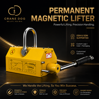 Machine de levage portable, grue magnétique permanente, élévateurs magnétiques permanents, sur mesure