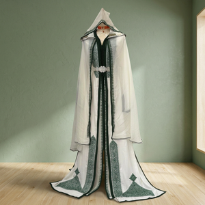 Robe de soirée vintage marocaine brodée en satin, coupe trapèze, longue, manches longues, col rond, traîne Watteau, pour femme - Product Image 1