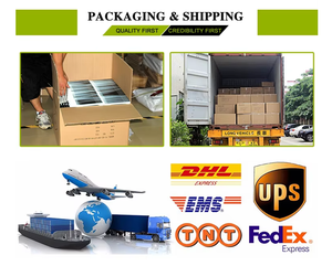 Etiqueta de Identificación para Mascotas con Diseño Hexagonal de Doble Cara que Brilla en la Oscuridad, Collares, Correas y Arneses para Mascotas Más Vendidos - Product Image 5