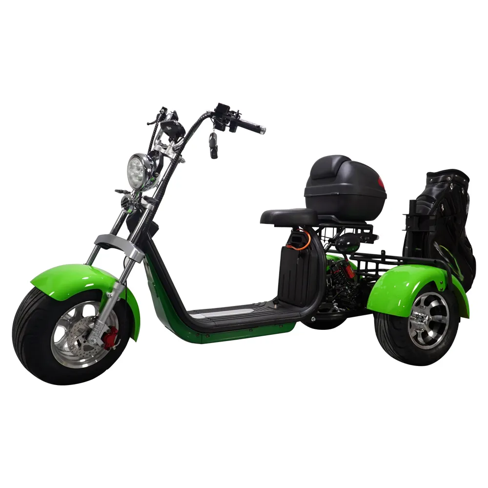 Vendita calda 2000W Scooter elettrico Scooter 3 ruote Buggy Club auto Golf Cart per Golf campo da Golf esigenze