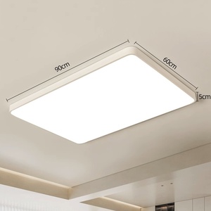 Moderna y contemporánea lámpara de metal decoración hierro acrílico sala de estar montada en superficie Led lámpara de techo - Product Image 2