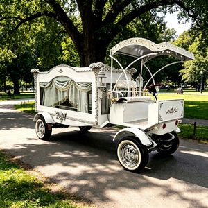 Véhicule de transport spécial, voiture rétro de haute qualité, chariot personnalisé, fabricant de cercueils électriques/argentés, cercueil électrique à vendre - Product Image 1