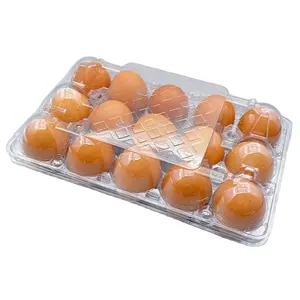 ขายร้อน 12 88 ไข่กล่องถาดฟักไข่