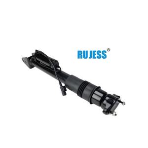 Amortisseur arrière pour Mercedes-Benz R-CLASS (W251, V251) 2513201931 2513202931 2513203031 - Product Image 3