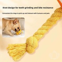 Jouet à mâcher pour chien, balle en peluche couineuse, résistant aux morsures, interactif, durable, pour l'exercice, son de carillon doux, animal de dessin animé mignon, chiot