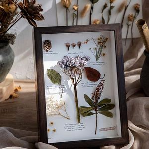 Wood <b>Photo</b> <b>Frame</b> 5cm Deep Box Picture Memory Case Wooden Picture <b>Frame</b> Flower Shadow Specimen <b>Frame</b> Box <b>Photo</b> Display Box - Product Image 5