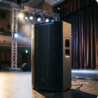 Offre Spéciale – Enceinte Active en Bois de 15 Pouces Classe D avec Bluetooth et Tweeter en Titane, Fonction Moniteur pour Scène et Événements en Direct – Direct Usine