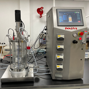 Innova Mini biorreactor de vidrio personalizable, fermentador, <span class=keywords><strong>autoclave</strong></span> OEM, esterilizado, agitación mecánica, cultivo celular, microbiología, 1-10L - Product Image 1