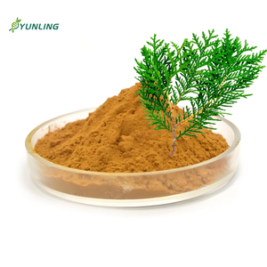 工場供給CTM Ceハーブエキス、ツルギキソウ（<span class=keywords><strong>Platycladus</strong></span> <span class=keywords><strong>Orientalis</strong></span>）の枝葉エキス粉末、食品グレード、ドラム包装 - Product Image 2