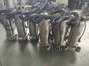 ปั๊มจุ่มใต้น้ำ QW / 3 220V 50/60Hz เหล็กหล่อ/สแตนเลส ใช้สำหรับเครื่องกระจายกลิ่นอโรมา รับประกัน 2 ปี QW Submersible - Product Image 4