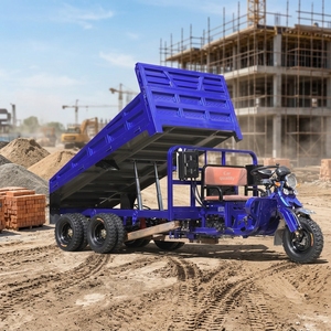 Tricycle agricole à essence à 5 roues, moto cargo 3 places avec benne basculante hydraulique, moteur 150cc/200cc, personnalisation OEM, marque privée - Product Image 6