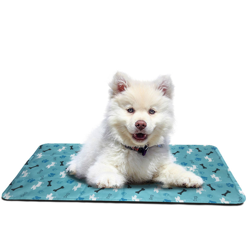 การ์ตูนสุนัขและกระดูก