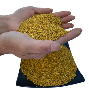 Gránulos de Polen de Abeja de Colza Seleccionados de Alta Calidad al por Mayor, Grado Alimenticio - Product Image 1