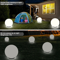 Lampe solaire à induction intelligente, efficace, de type globe, indice de protection IP44, entrée 1,2 V, blanc neutre 4100 K, 90 lumens, modèle LS2230, jardin