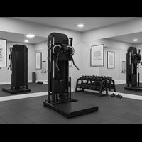 Machine à plaques DFT Commerciale sur pied multi-positions L03, à charge par broches, pour exercices de bras, épaules, poitrine et Deltoides arrière