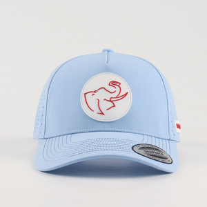 Haute qualité personnalisé concepteur femme casquette de sport non structuré Golf chapeau Laser trou plaine papa chapeau imperméable élégant point - Product Image 2