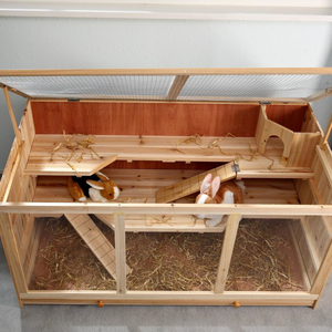 Jaula <span class=keywords><strong>de</strong></span> madera para hámster con <span class=keywords><strong>casa</strong></span> <span class=keywords><strong>de</strong></span> conejito para mascotas - Product Image 3