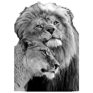 Tableau mural Lion Noir et Blanc sur toile encadrée, impression animale, affiche moderne pour décoration de salon, vente en gros usine - Product Image 1